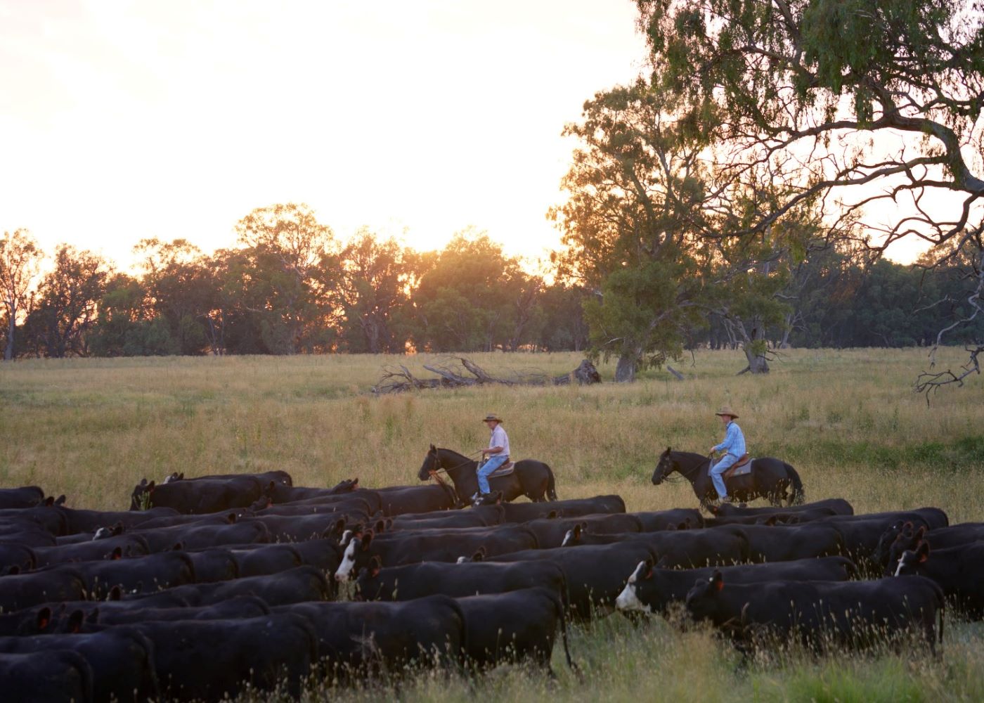 Adam and Andrew Marriot from Maxjem, Benalla