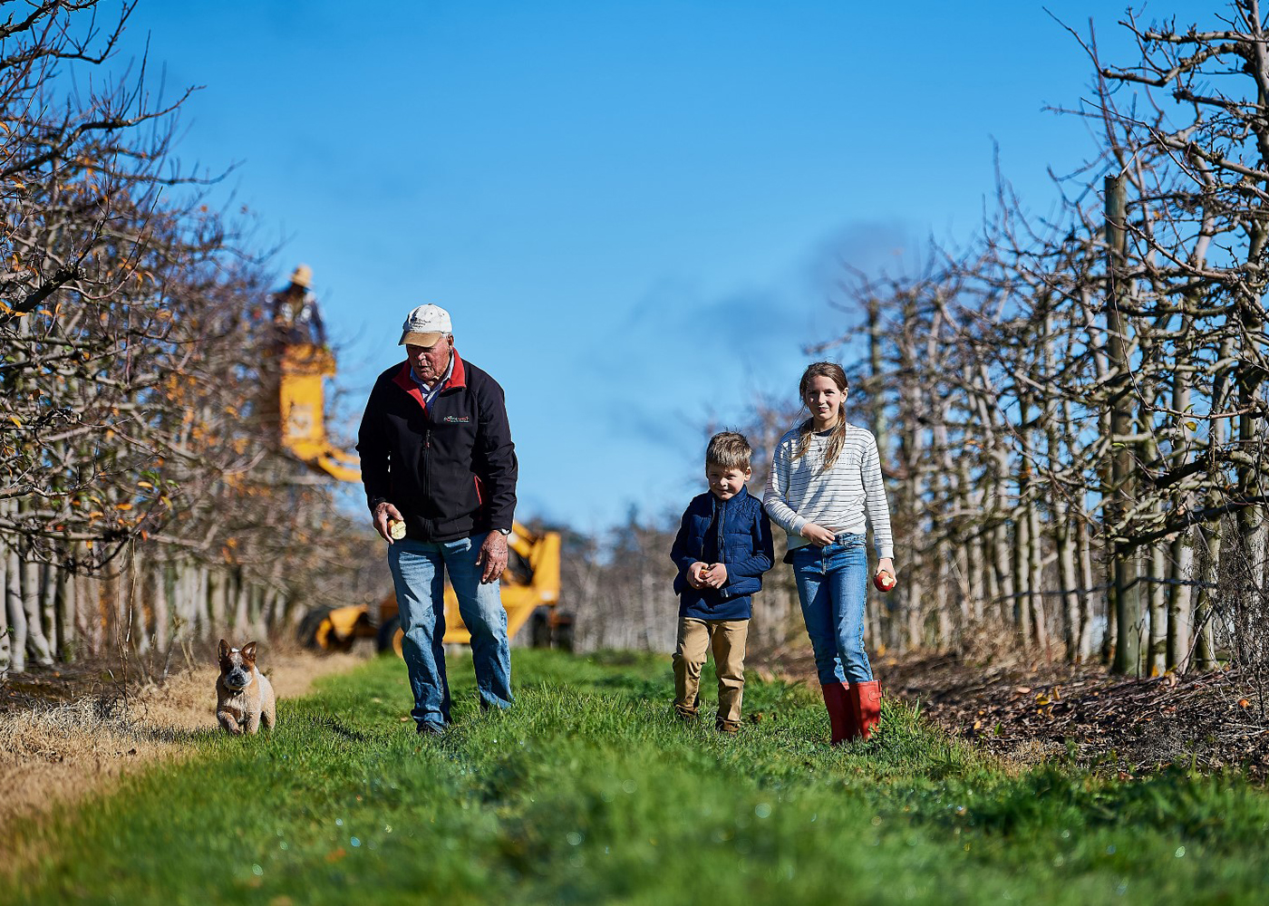 Newton Orchards Harvey Giblett with grandchildren Sacha and Riley