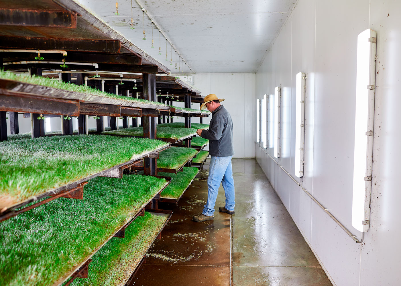 Michael Crowe from Coolac, NSW, received support from the Coles Nurture Fund to build a fodder factory